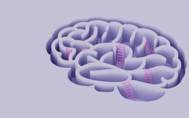  Fluxo de triagem e encaminhamento em saúde mental